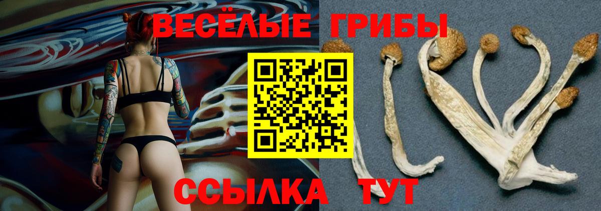 Псилоцибиновые грибы MAGIC MUSHROOMS  Вход с VPN  Усть-Кут 