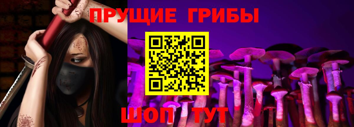 Псилоцибиновые грибы GOLDEN TEACHER Усть-Кут